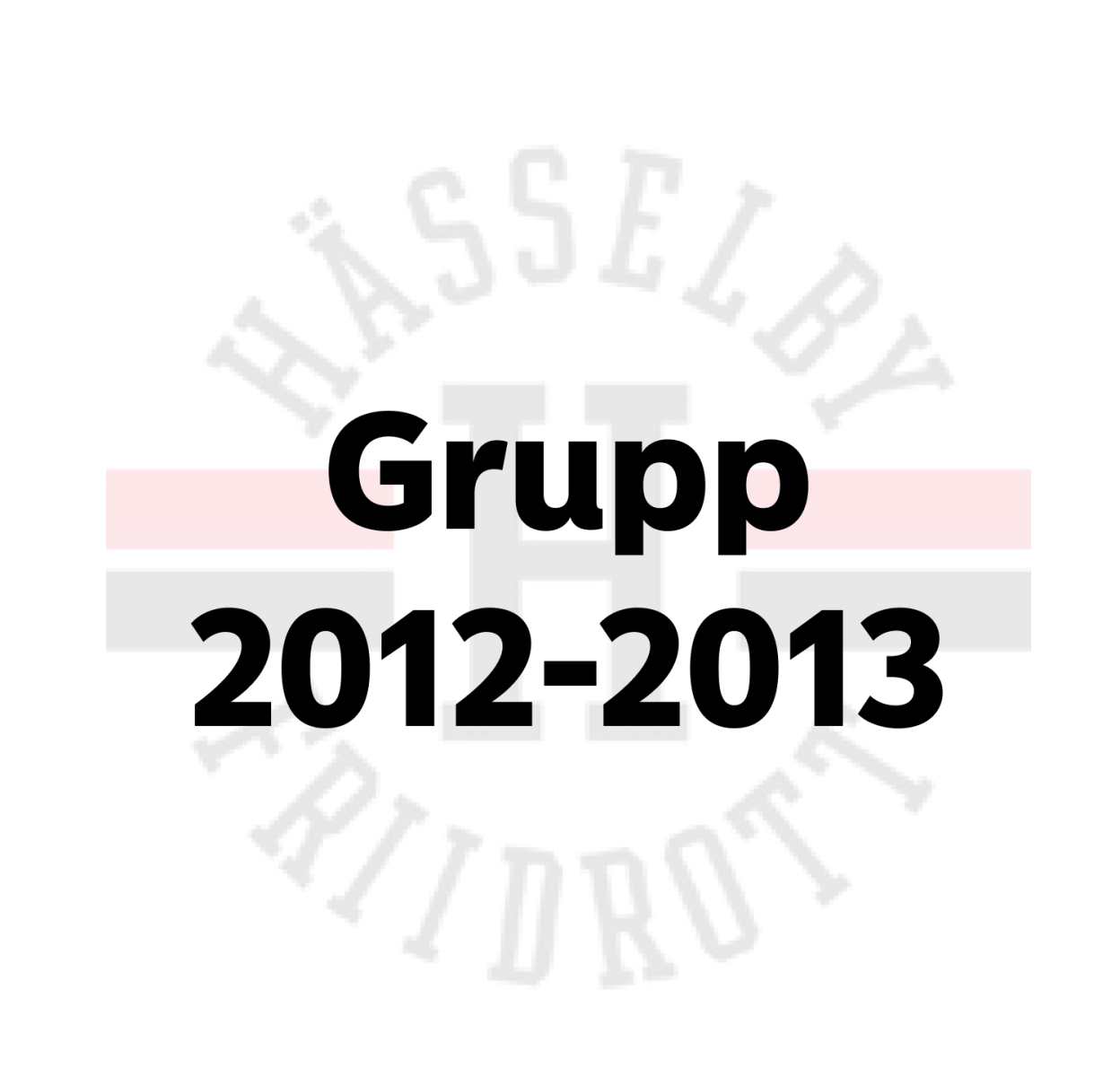 Trningsgrupp 2013